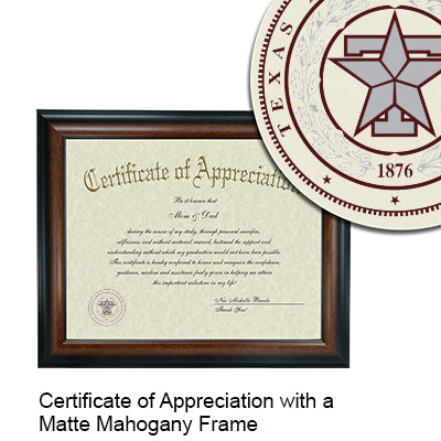 Texas A&M Health Science Center - College of Dentistry Certificate with Frame