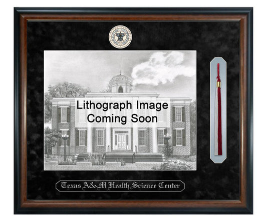 Texas A&M Health Science Center - College of Nursing Litho Frame,Diploma Frame (XSNTL)