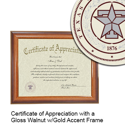 Texas A&M Health Science Center - School of Public Health Certificate with Frame