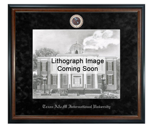 Texas A&M International University Litho Frame,Diploma Frame (XSNL)