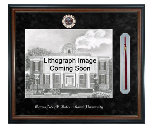Texas A&M International University Litho Frame,Diploma Frame (XSNTL)