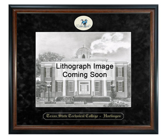 Texas State Technical College Harlingen Litho Frame,Diploma Frame (XSNL)