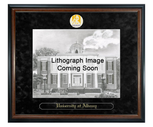 University at Albany Litho Frame,Diploma Frame (XSNL)