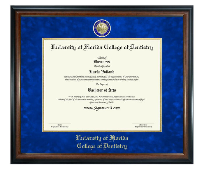 University of Florida College of Dentistry Diploma Frame (SN)