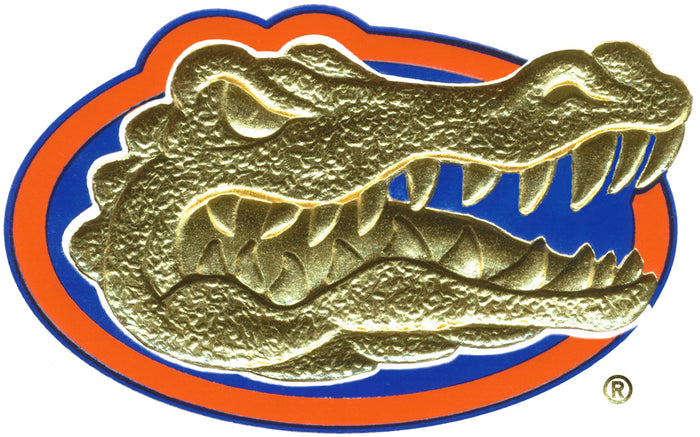University of Florida College of Pharmacy Frame Options (4176)