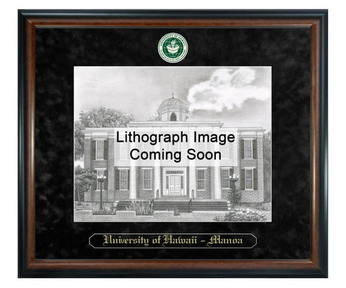 University of Hawaii at M noa  Litho Frame,Diploma Frame (XSNL)