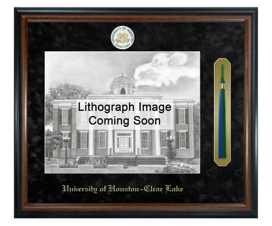 University of Houston - Clear Lake Litho Frame,Diploma Frame (XSNTL)
