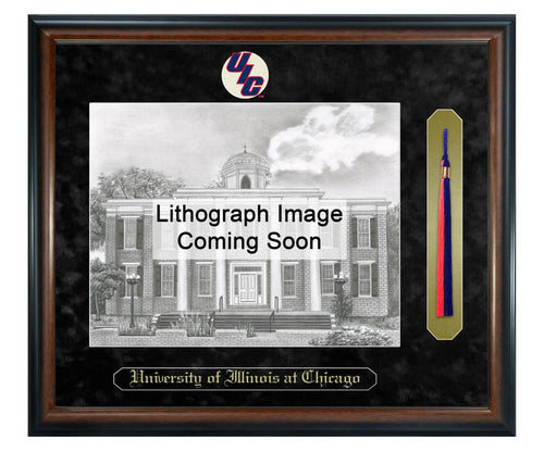 University of Illinois at Chicago Litho Frame,Diploma Frame (XSNTL)