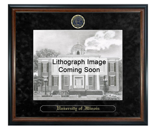 University of Illinois at Urbana-Champaign Litho Frame,Diploma Frame (XSNL)