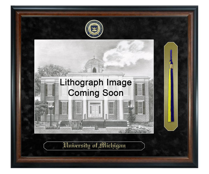 University of Michigan - Flint Litho Frame,Diploma Frame (XSNTL)