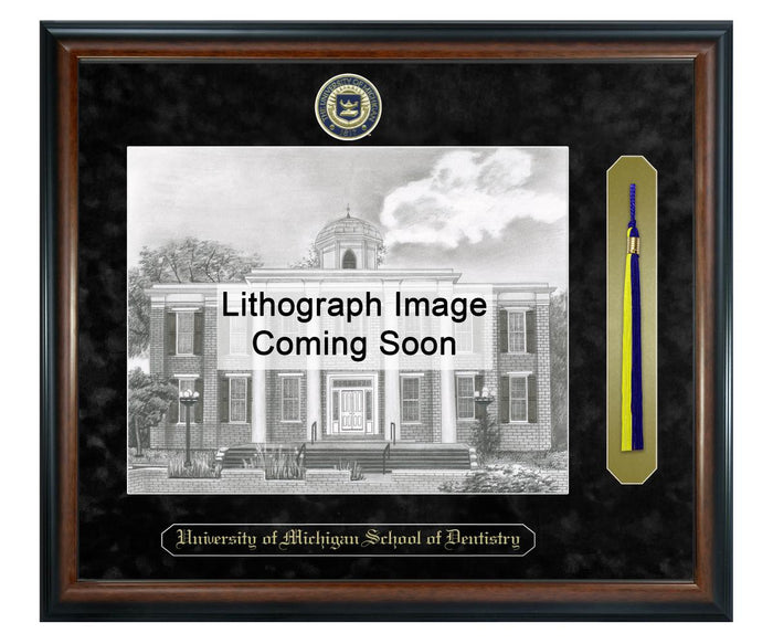 University of Michigan School of Dentistry Litho Frame,Diploma Frame (XSNTL)