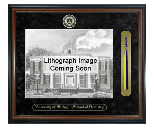 University of Michigan School of Dentistry Litho Frame,Diploma Frame (XSNTL)