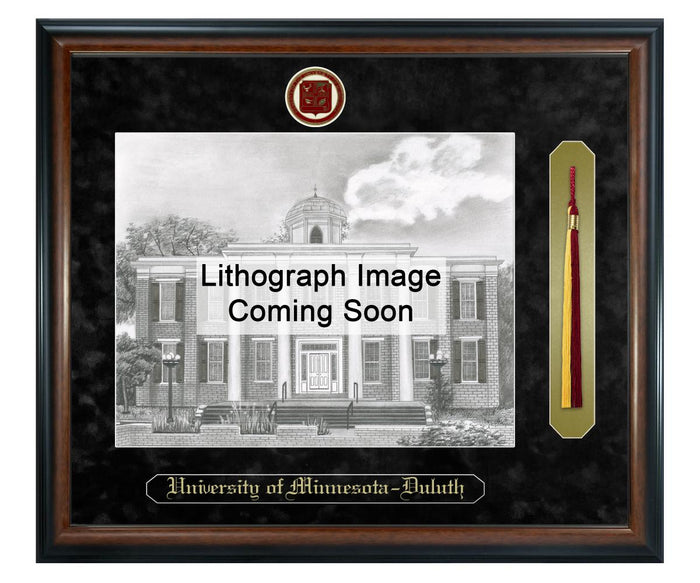 University of Minnesota - Duluth Litho Frame,Diploma Frame (XSNTL)