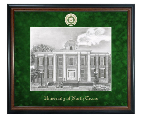 University of North Texas Litho Frame,Diploma Frame (XSNL)