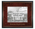 University of South Carolina Litho Frame,Diploma Frame (XNL)