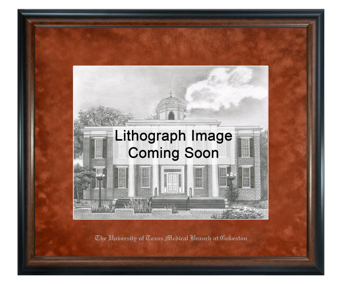 University of Texas Medical Branch Litho Frame,Diploma Frame (XNL)