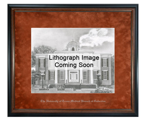 University of Texas Medical Branch Litho Frame,Diploma Frame (XNL)