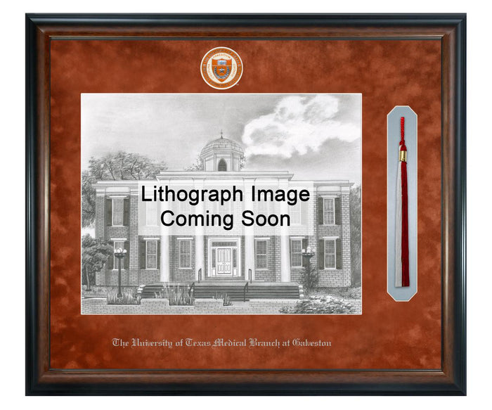 University of Texas Medical Branch Litho Frame,Diploma Frame (XSNTL)