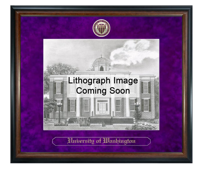 University of Washington Tacoma Litho Frame,Diploma Frame (XSNL)
