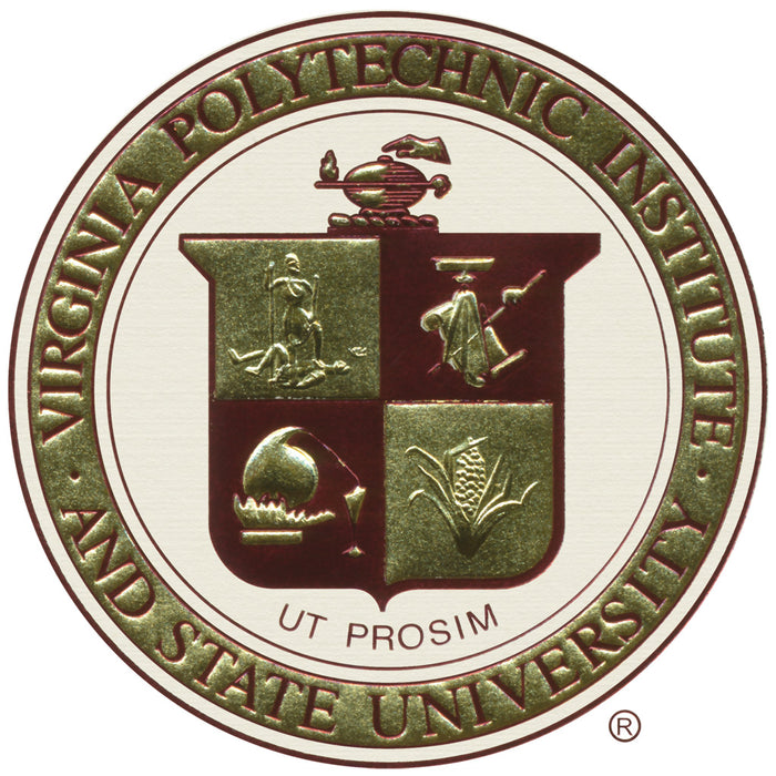 Virginia Polytechnic Institute and State University Frame Options (312)