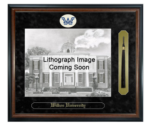Wilkes University Litho Frame,Diploma Frame (XSNTL)