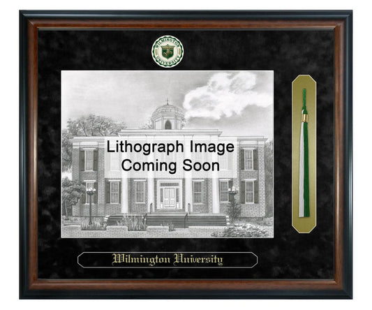 Wilmington University Litho Frame,Diploma Frame (XSNTL)